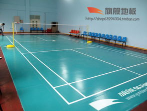 河北保定運動地板 旗艦pvc塑膠地板 室內運動地板 公司網(wǎng)址 http www.yundongdiban.com高清圖片 高清大圖