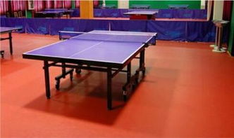 pvc塑膠地板塑膠地板 運(yùn)動地板高規(guī)格防滑耐磨