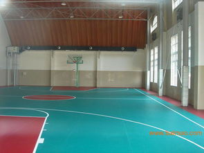 塑膠地板概述 類(lèi)型、應(yīng)用與價(jià)格指南